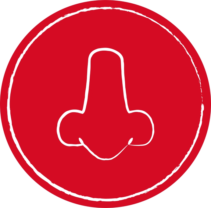 Otorrinolaringología